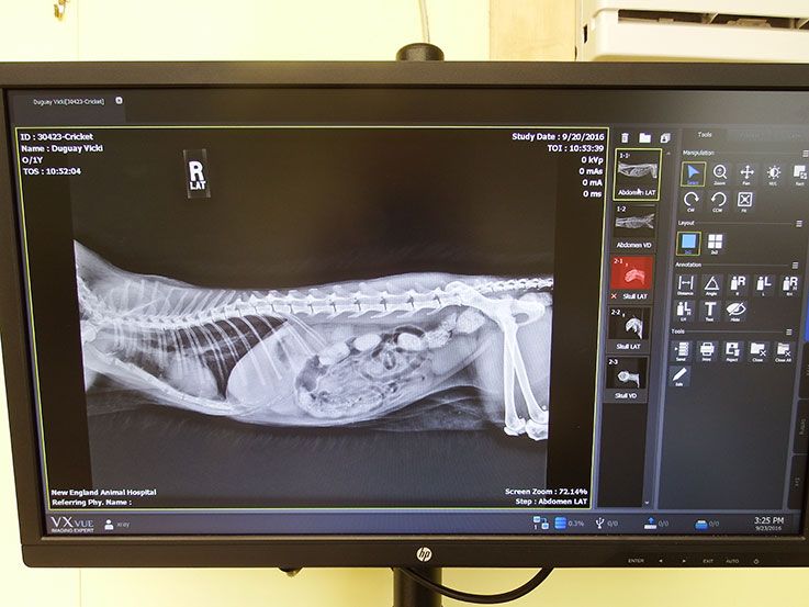 Digital Radiography