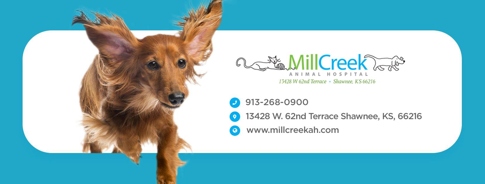 Veterinary Clinics Lincoln Ne