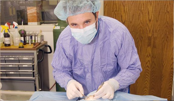 Mill Creek Animal Hospital, Vet in Shawnee KS