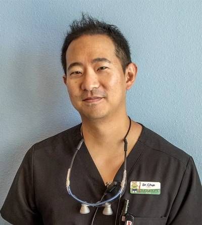 Dr. Fred