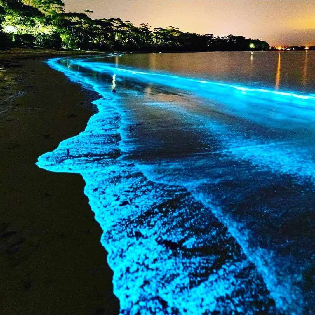 Florida Bioluminescent Kayaking Tours near Orlando and Cocoa Beach