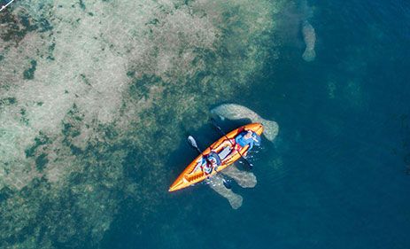 Florida Adventurer: The Premier Provider of Kayaking Tours in Florida