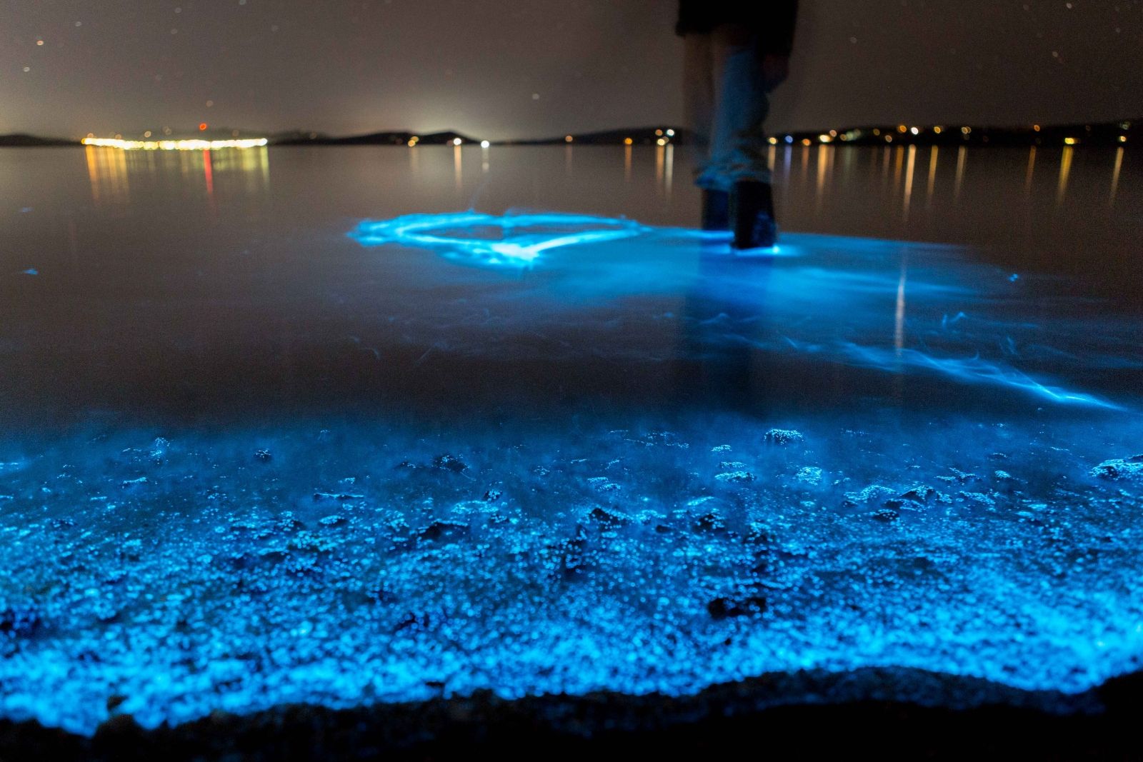 Cocoa beach at night