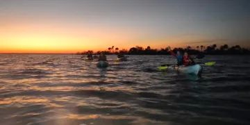 Why Go To Titusville For A Bioluminescent Kayak Tour At Night?