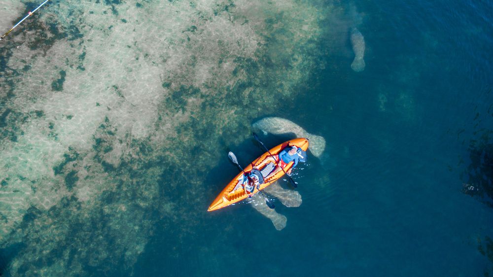 Florida Adventurer: Your Next Kayaking Destination