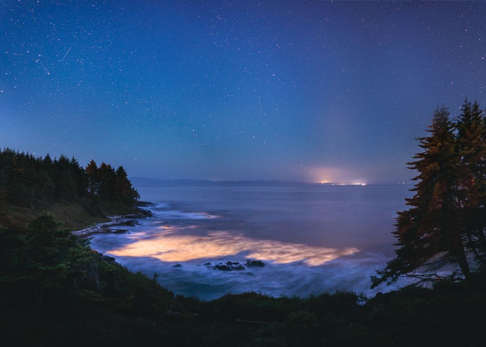 bioluminescence
