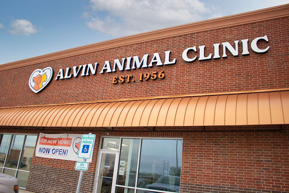 About Our Veterinary Hospital in Alvin TX | Alvin Animal Clinic