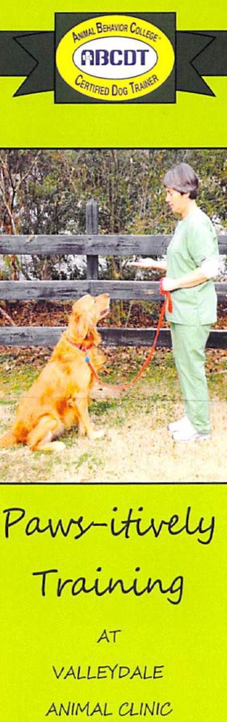 Dog Obedience Classes in Birmingham