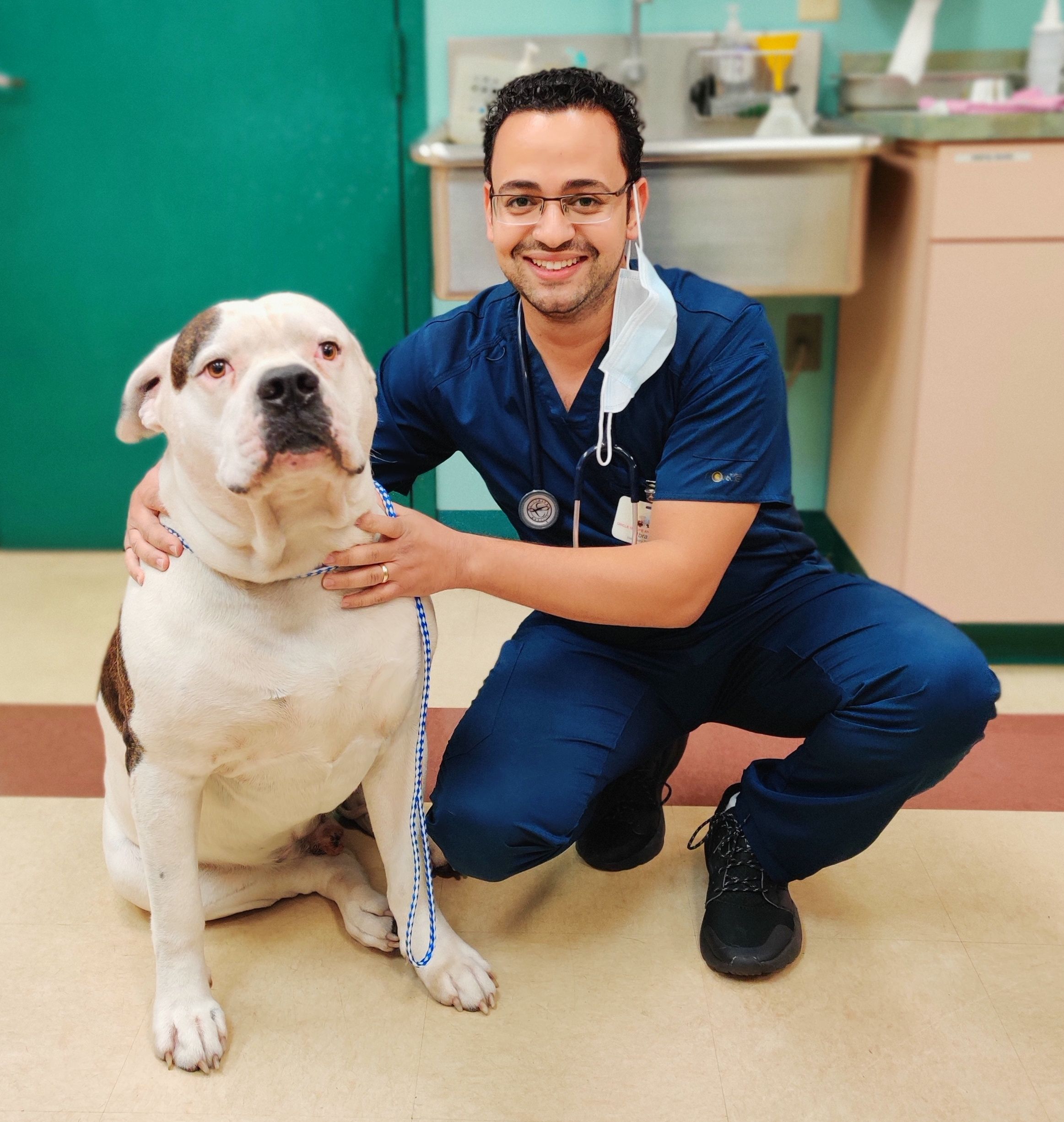 Older dog and Dr. Ibram