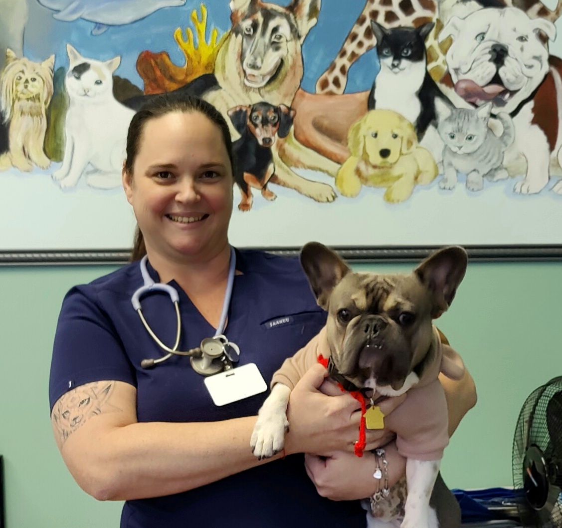 Elise, vet tech