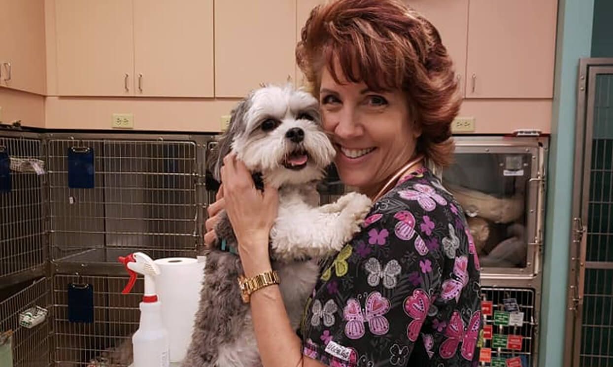 Veterinarian in Tampa FL - Carrollwood | Circle of Life Animal Hospital Veterinarian in Tampa FL - Carrollwood | Circle of Life Animal Hospital
