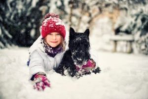 dogs in the snow