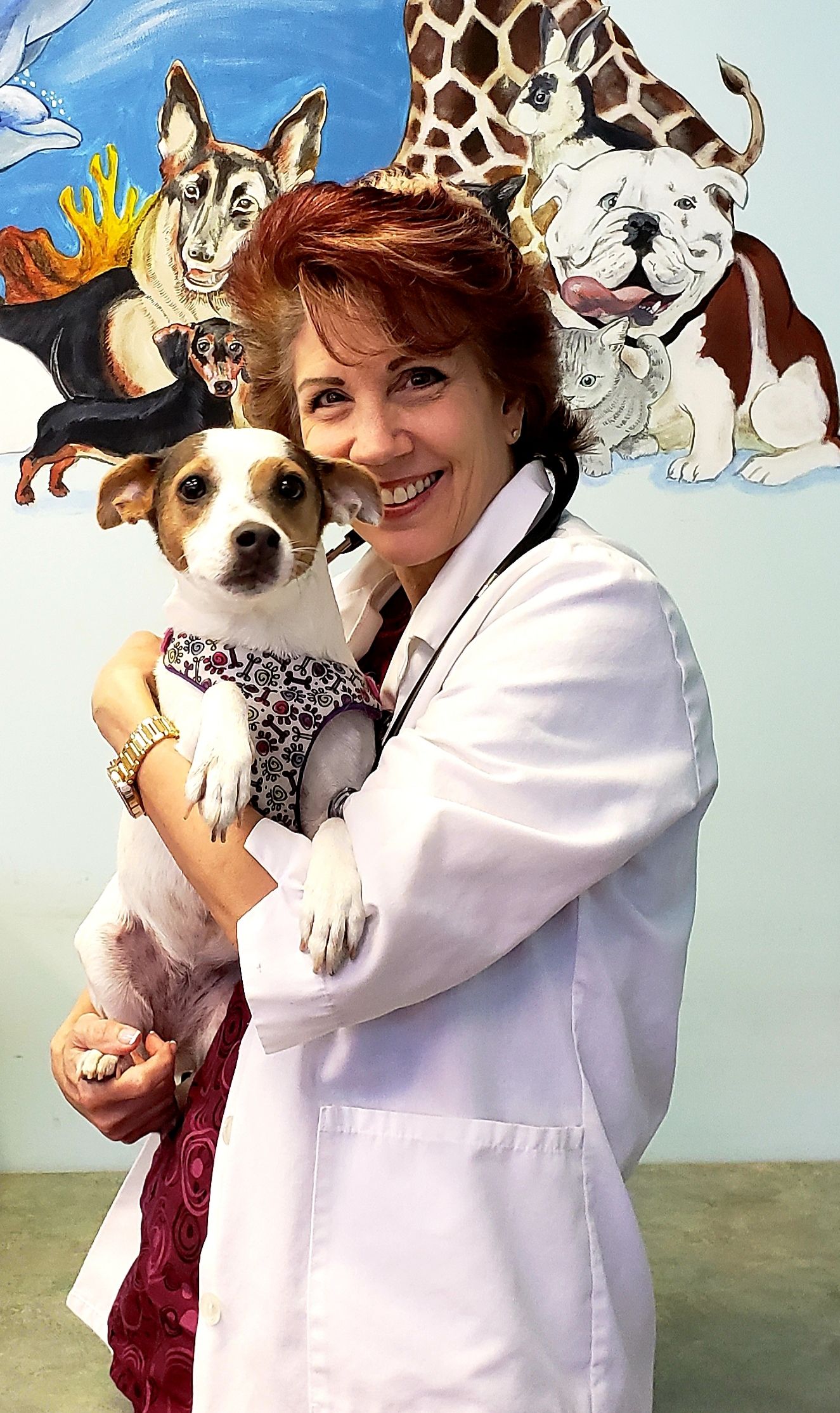 Dr. Palma