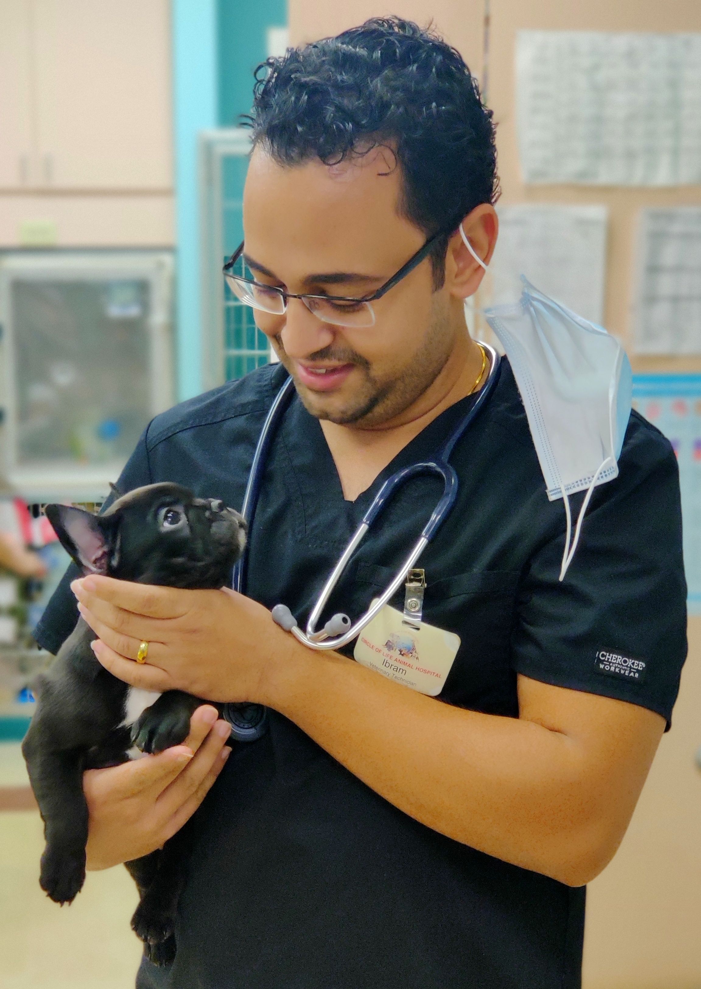 Veterinary Hospital in Tampa FL | Circle of Life Animal Hospital Veterinary Hospital in Tampa FL | Circle of Life Animal Hospital