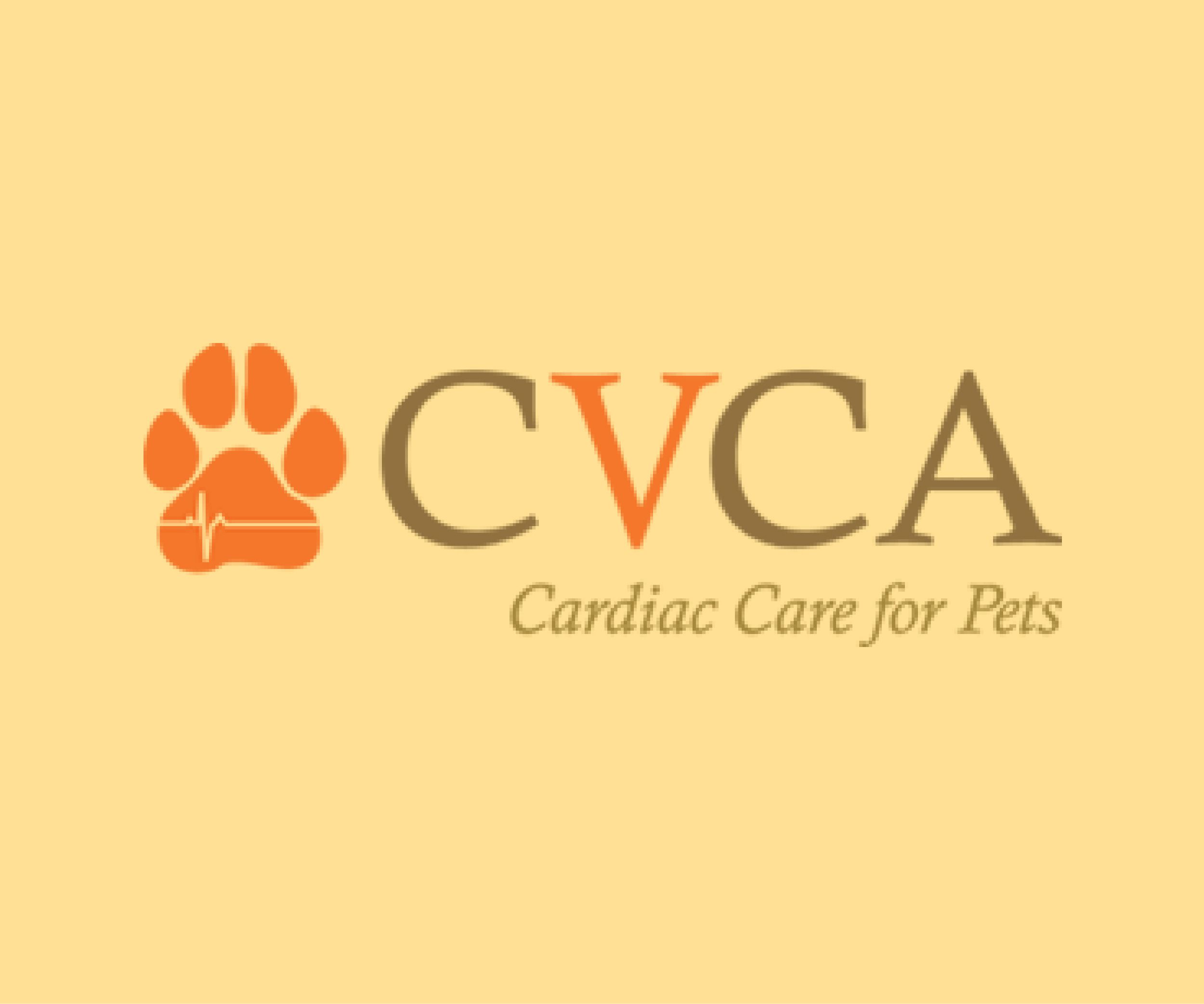 Specialists Battlefield Animal Clinic - Manassas Veterinary Care
