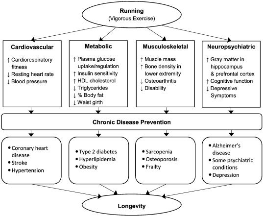 Running as a Key Lifestyle Medicine for Longevity