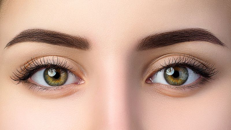 Eyelids
