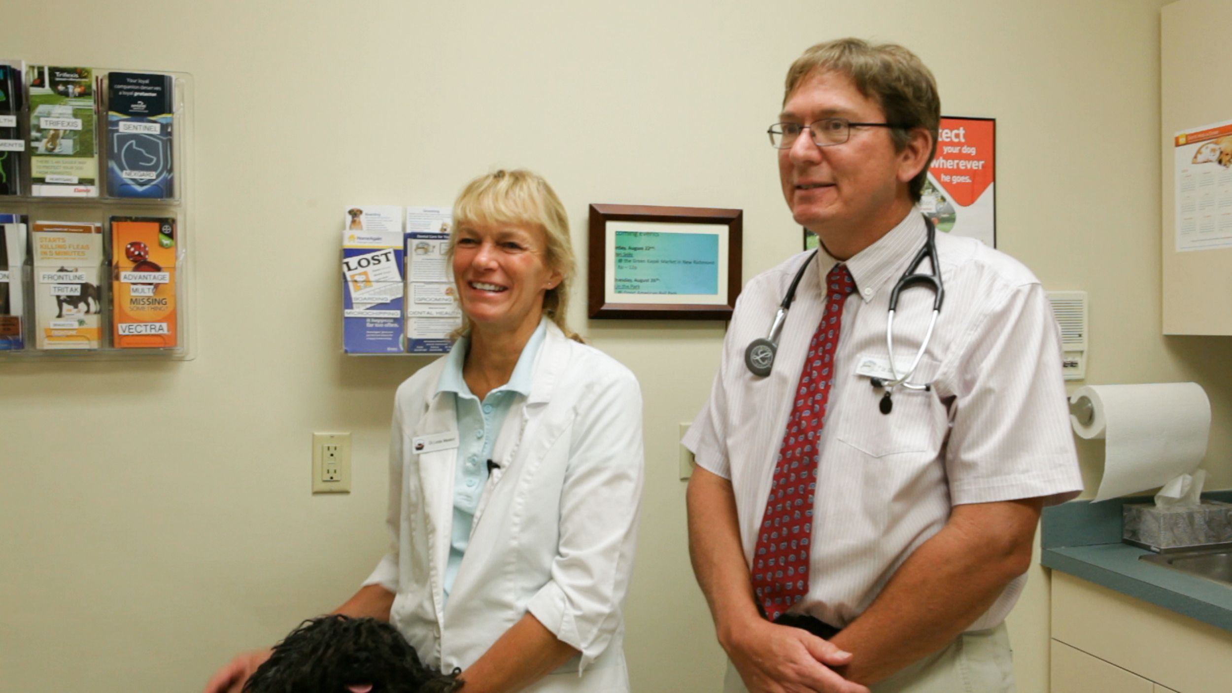 veterinarians