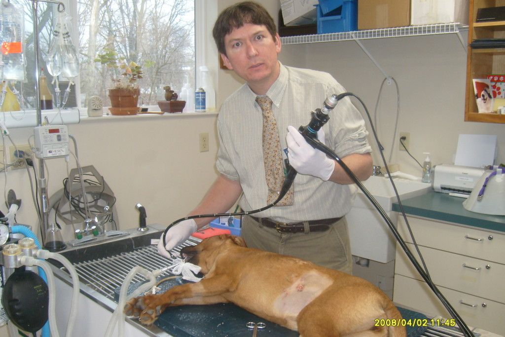endoscopy