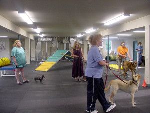 dog trainers