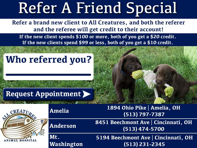 Refer A Friend Special