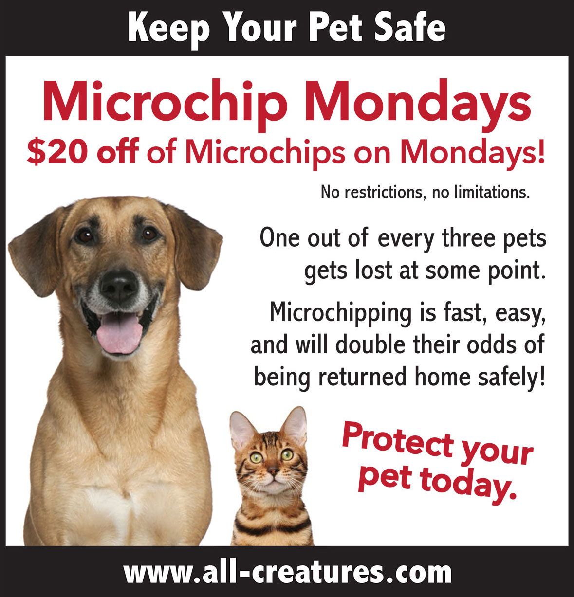 20% Off on Pet Microchips