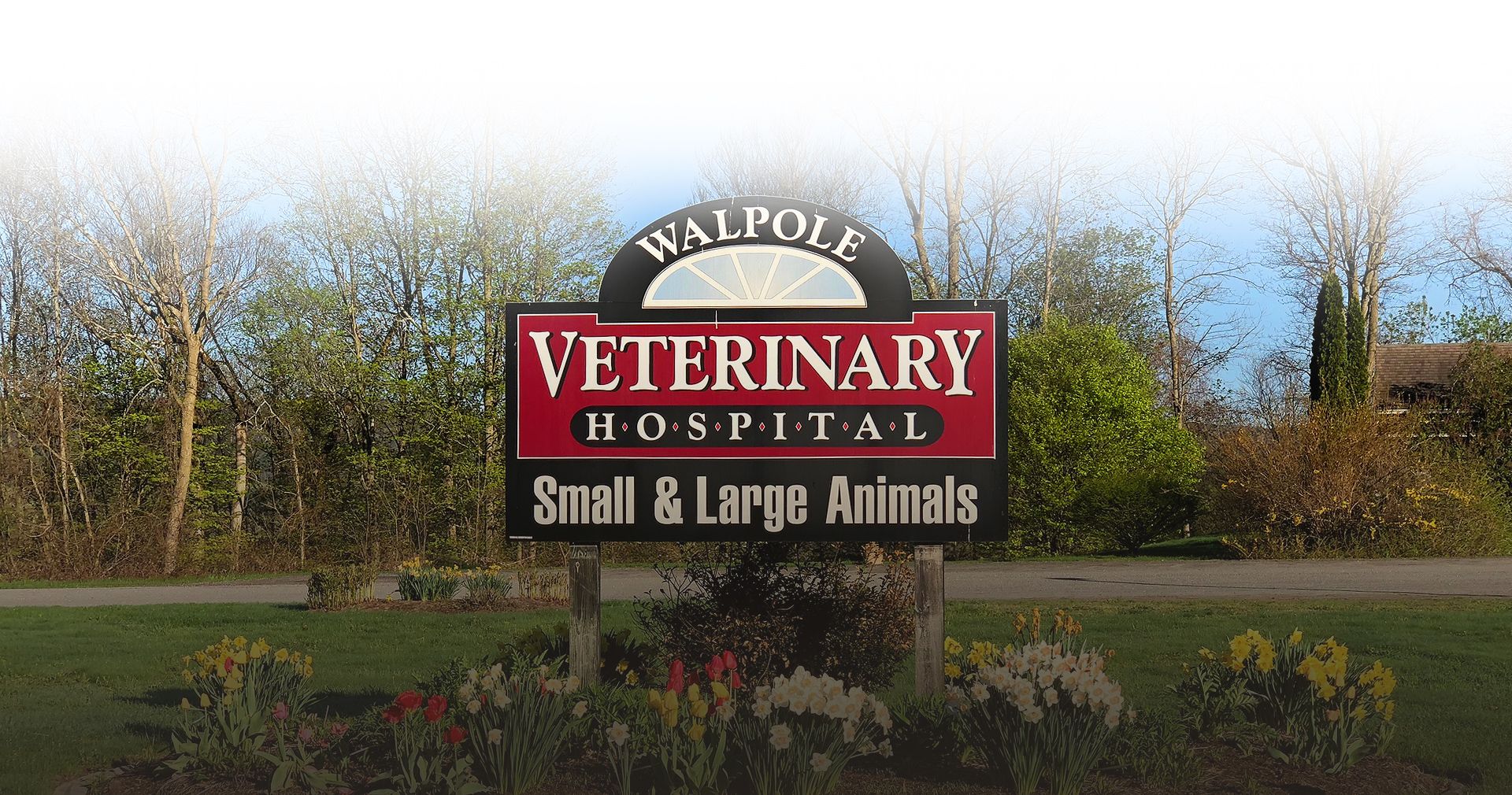 Veterinary Care