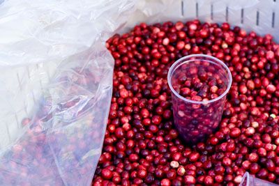 Are Cranberries Contributing to Your Toxic Load?