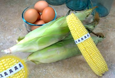 Why You Need to Avoid GMO Foods
