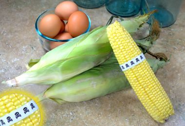 Why You Need to Avoid GMO Foods