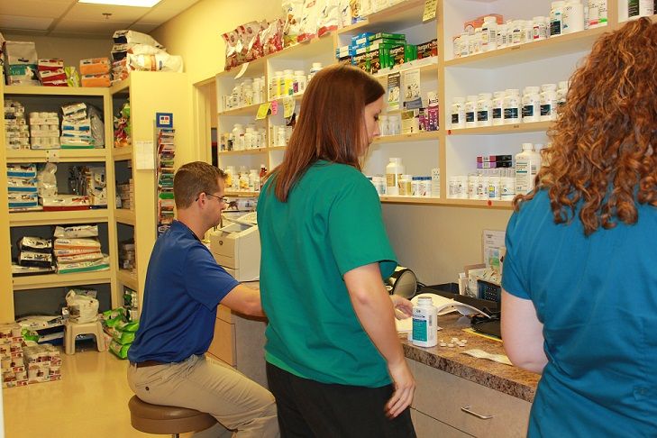 Pharmacy Area