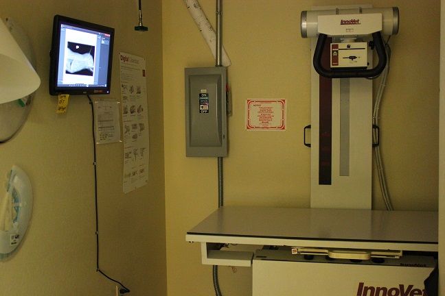 Radiology