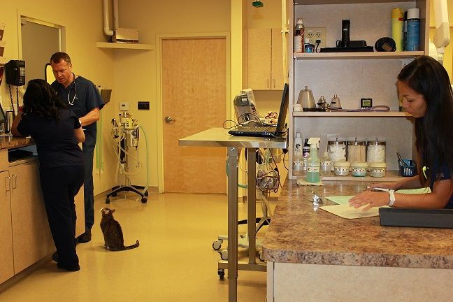 Treatment Room
