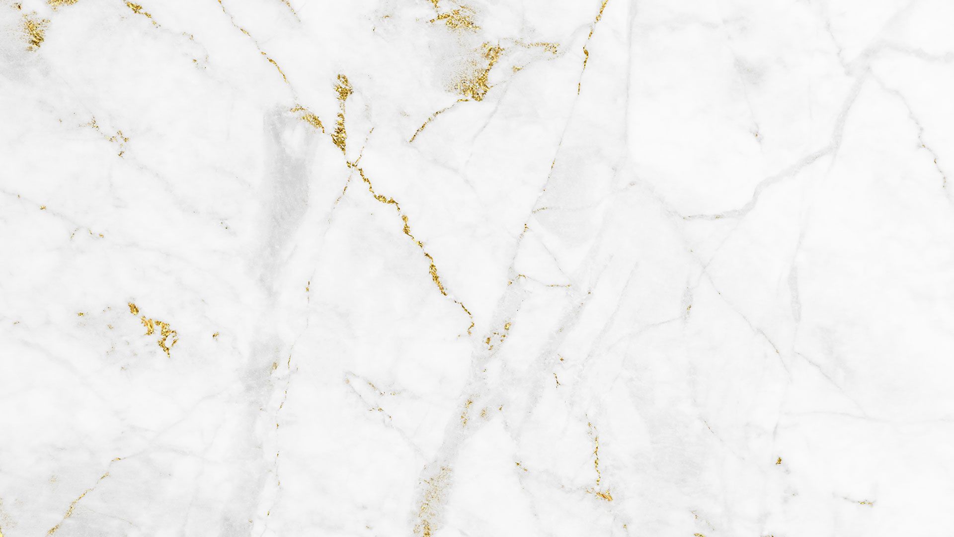 Optometrist in Dearborn Heights Vùe Eye Boutique