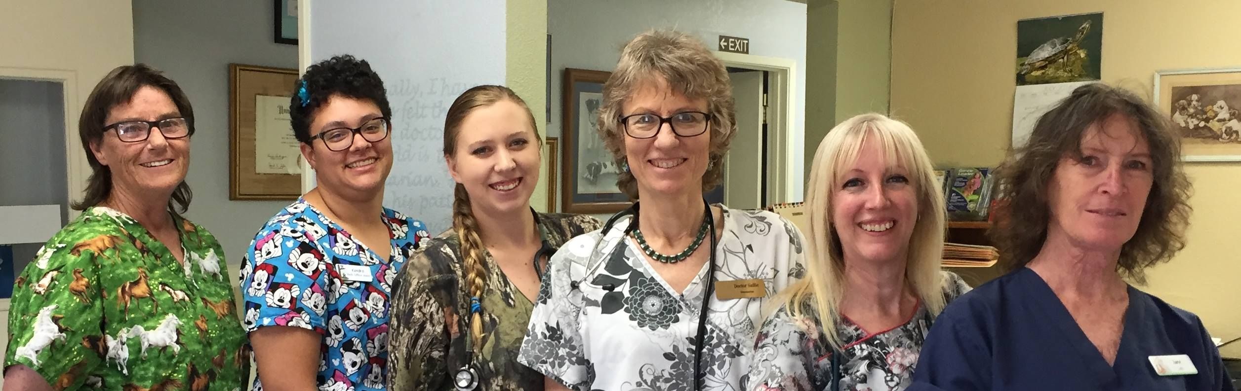 sierra veterinary hospital team
