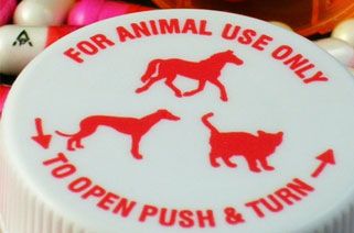 animal medicine