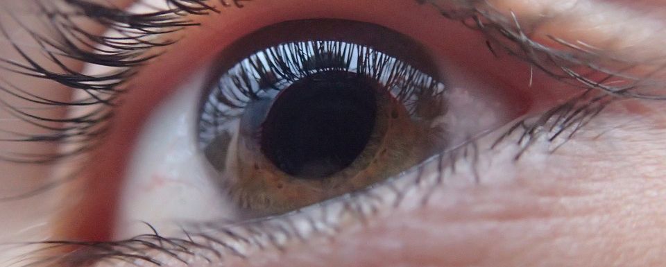 Harvard Medical School Debunks Five Myths About Eye Care