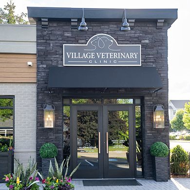 Veterinarians in Grayslake IL | Village Veterinary Clinic