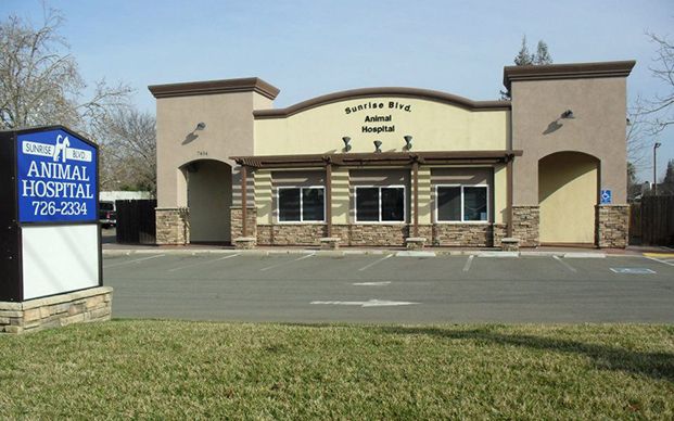sunrise boulevard animal hospital