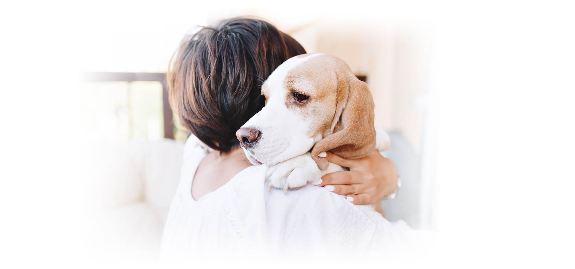 Vets in Rome GA | Northwest GA Veterinary Emergency Center