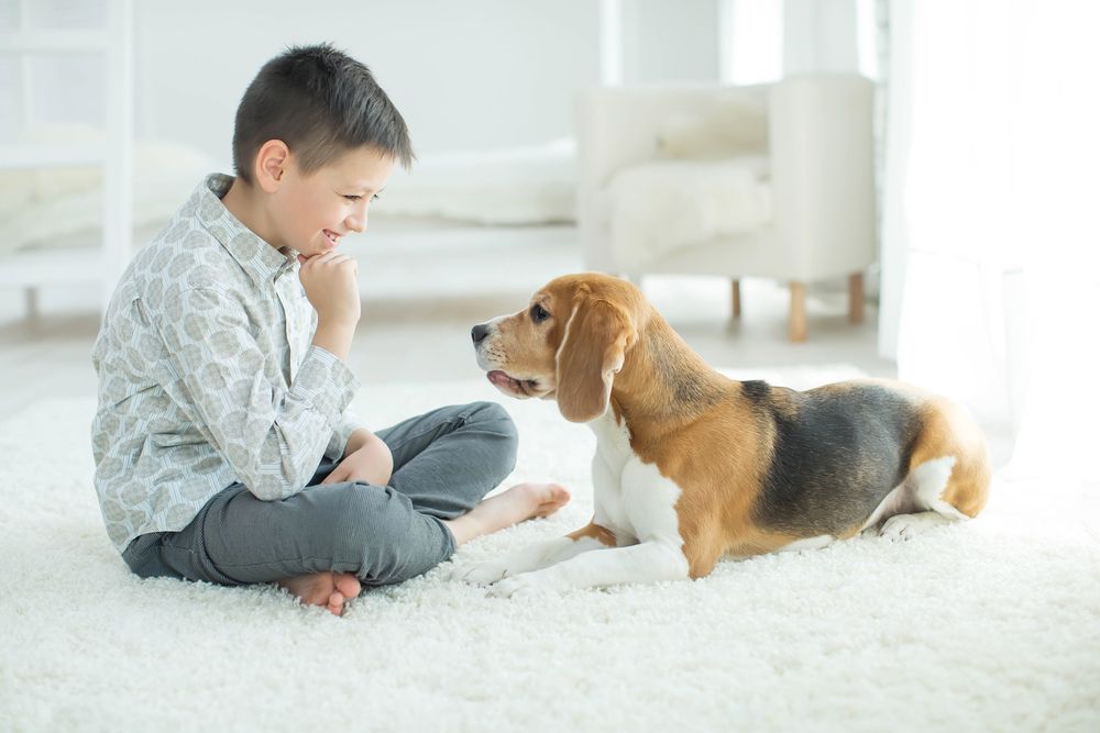boy with his dog