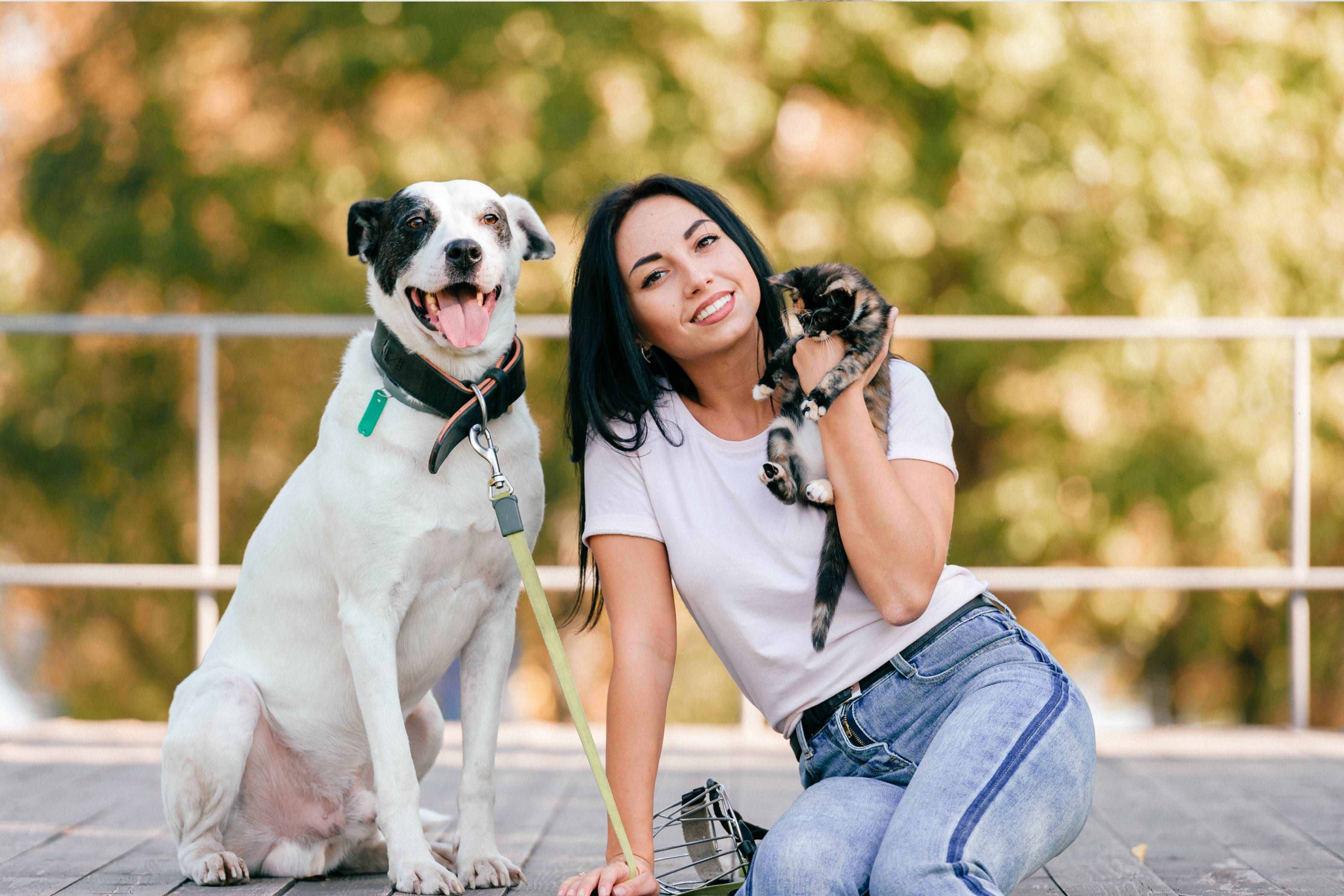What Are the Benefits of Heartworm Prevention