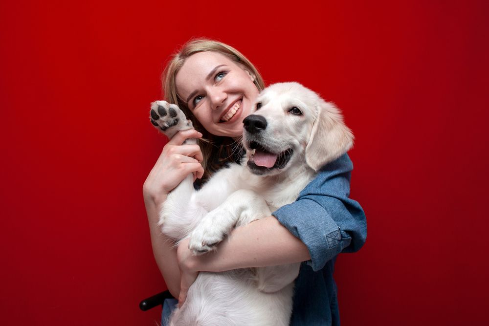 10 Fall Safety Tips for Pet Parents