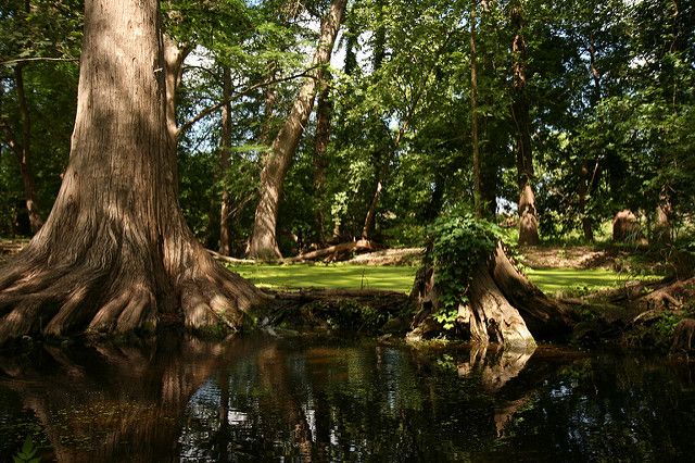 The Luxury of Boerne Texas