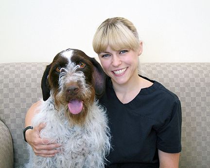 Brandy Kruszyna, CVT
