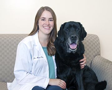 Meet our Doctors at Pittsfield Veterinary Hospital in Pittsfield MA