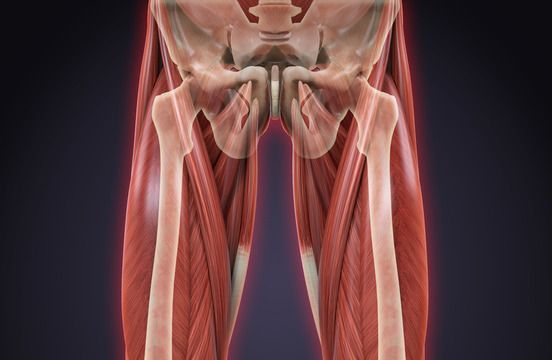 groin pain management
