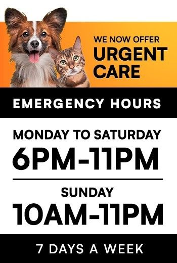 Emergency Hours 6PM to 11PM
