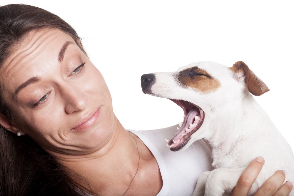Why Does My Pet's Breath Smell Bad?