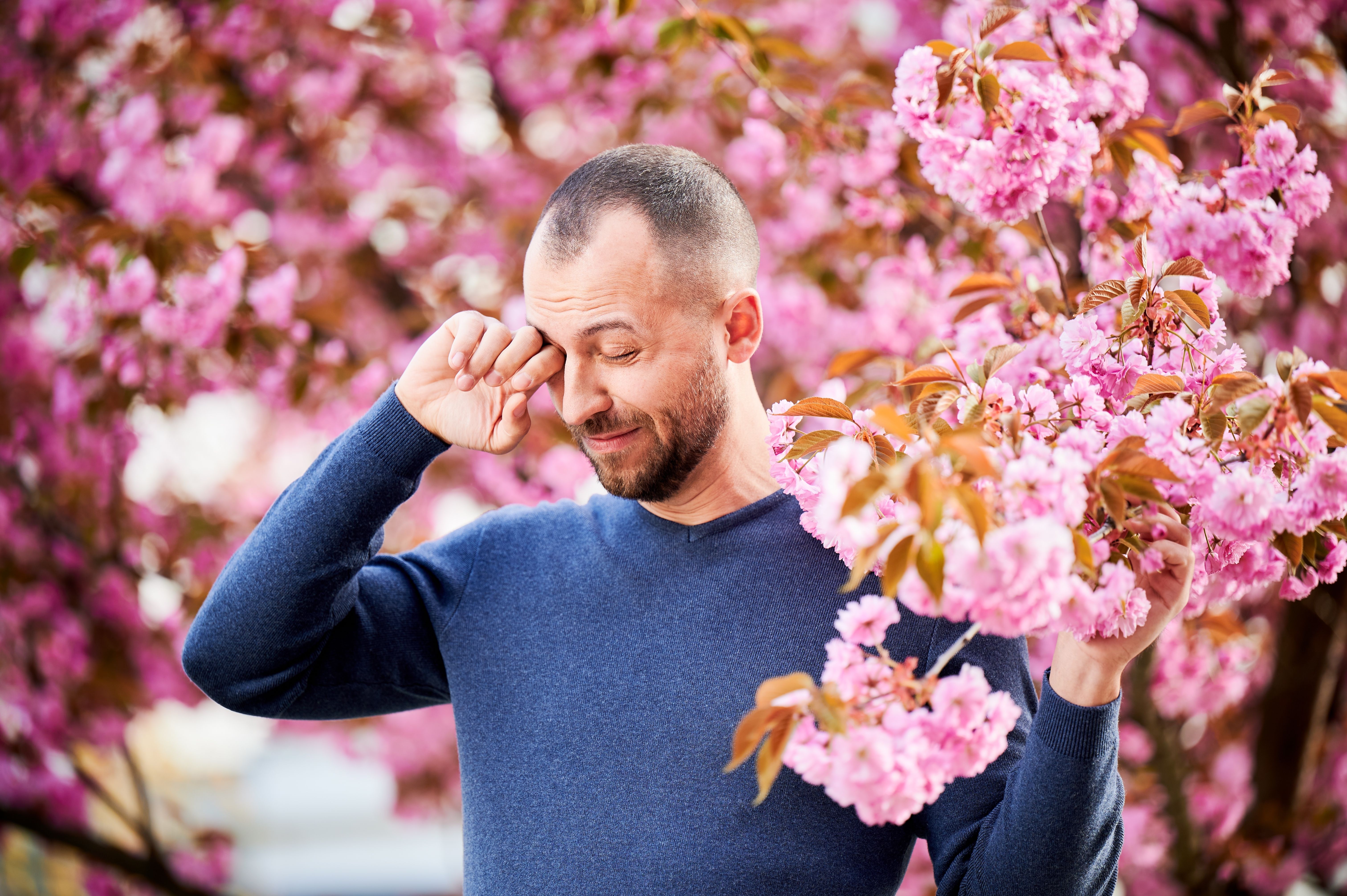 When Should I See An Optometrist For Allergy Symptoms?